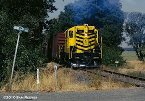 It's a train that looks like a bee; 'Beeminder on Rails', get it? Second choice was a bee gazing at its navel. A picture of a train that looks like a bee, sort of