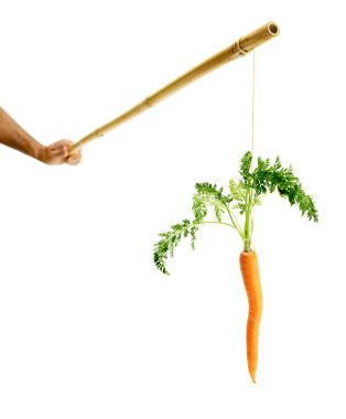 A carrot on a stick A carrot on a stick
