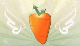 TimeCarrot TimeCarrot