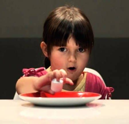 'Dooo eeeeeet' -- the id of this kid A kid grabbing a marshmallow off a plate