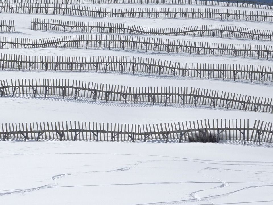 If we had to coordinate on picking an image for this post, this one would be a pretty blatant Schelling point Fences on a slippery (snowy) slope